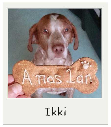 Ikki avec nos Biscuits personnalisés pour chiens Cacahuète